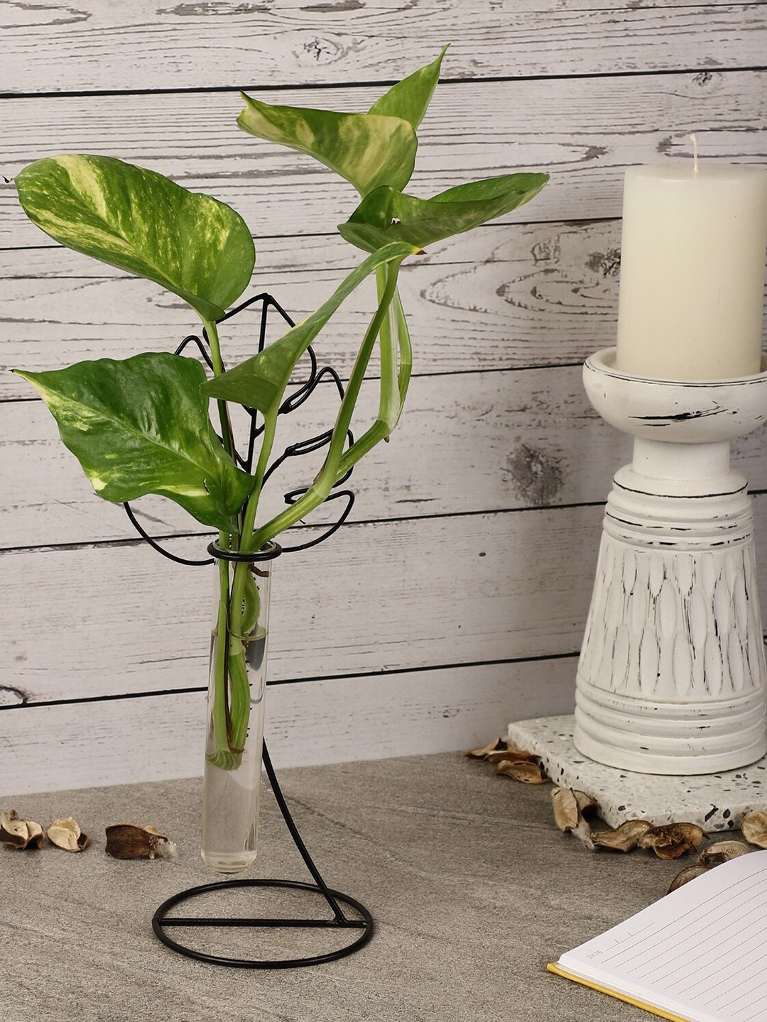 

The Decor Mart Solid Metal Planters, Black