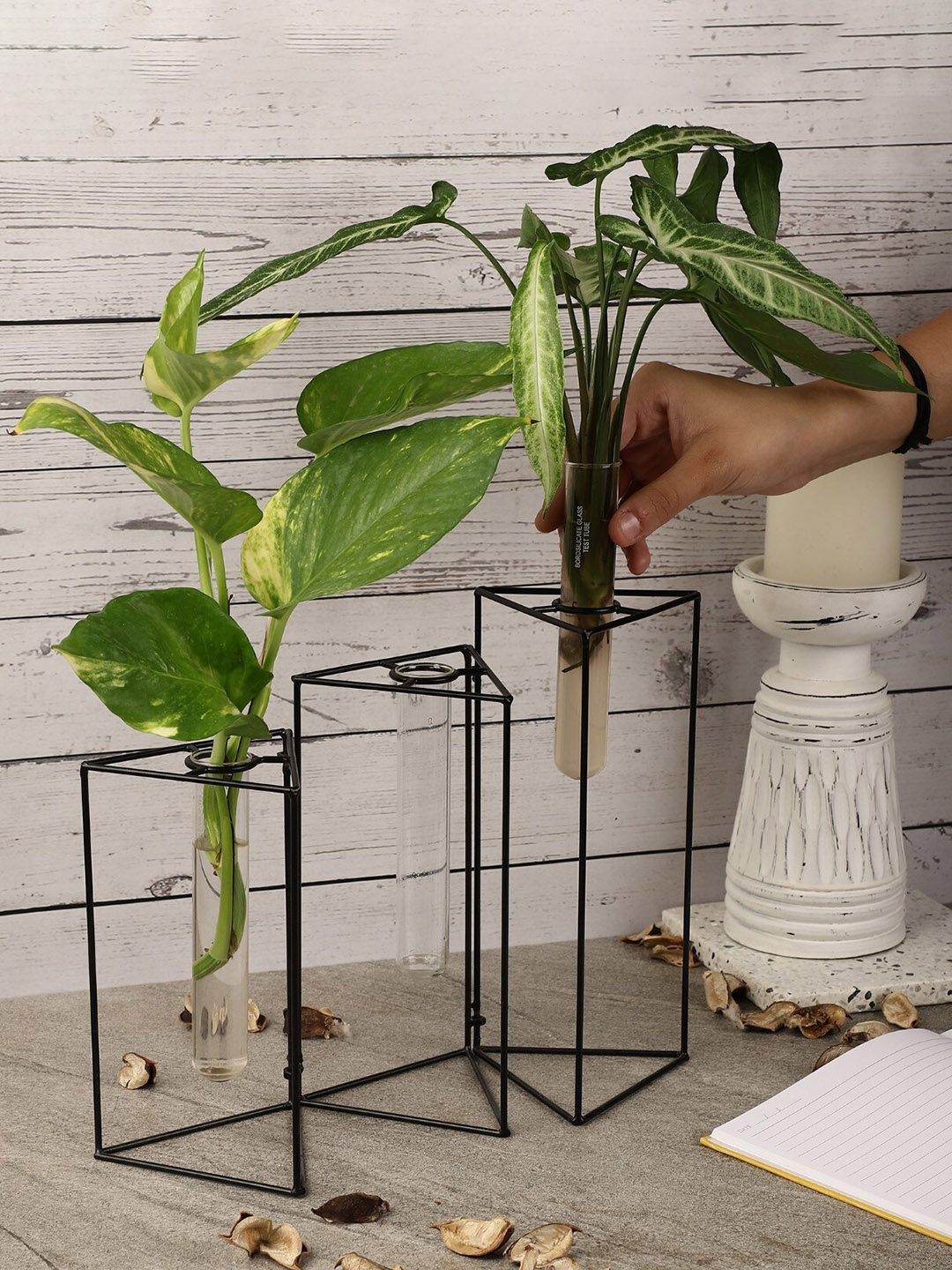 

The Decor Mart Solid Tri Foldable Testube Planter, Black
