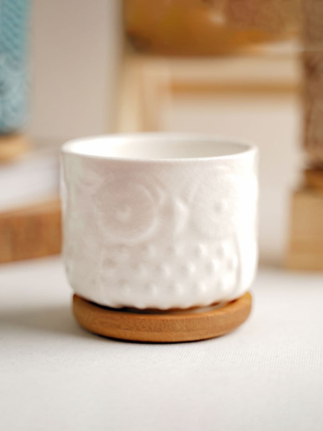 

Nestasia Owl Ceramic Planters, White