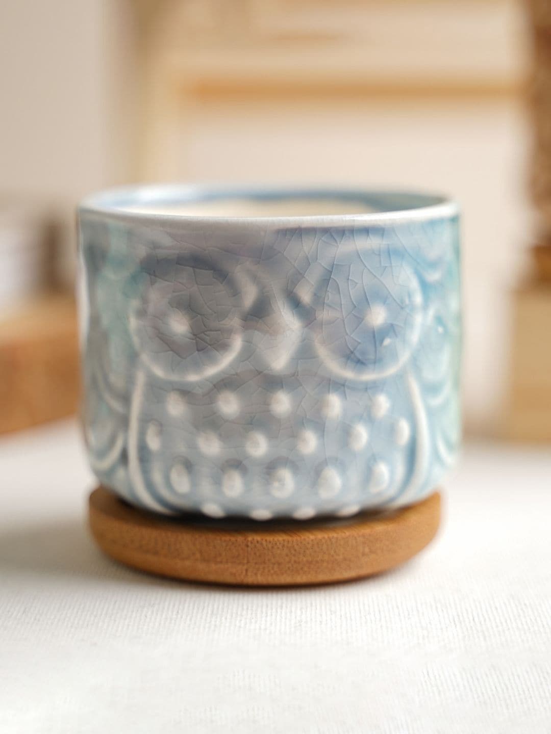 

Nestasia Textured Ceramic Planters, Blue