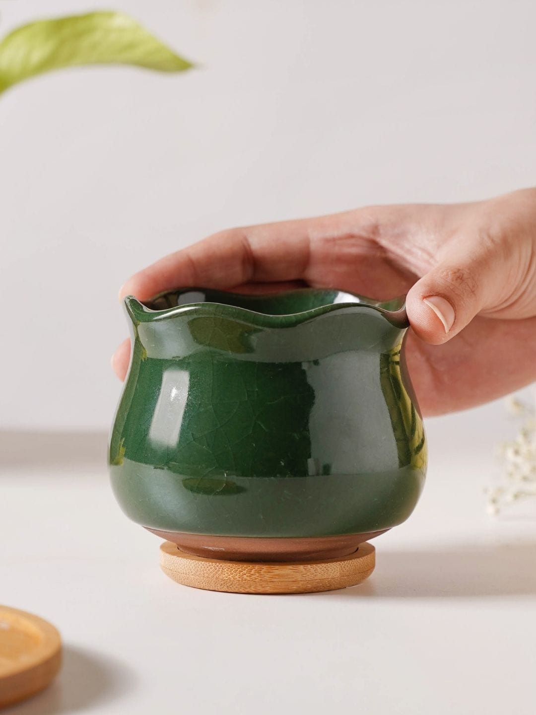 

Nestasia Solid Ceramic Planter With Coaster, Green