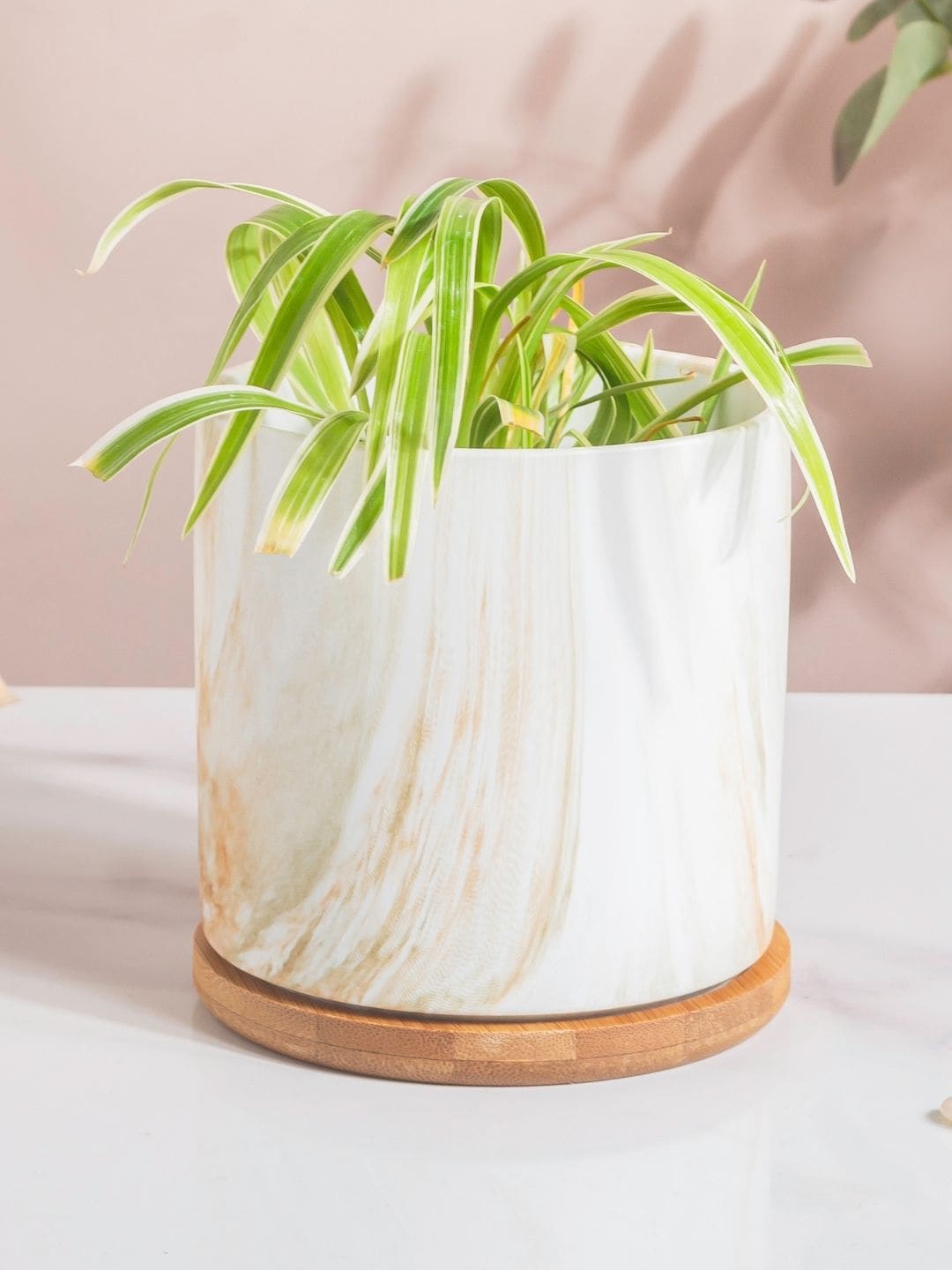 

Nestasia White and Brown Splash Planter With Wooden Coaster