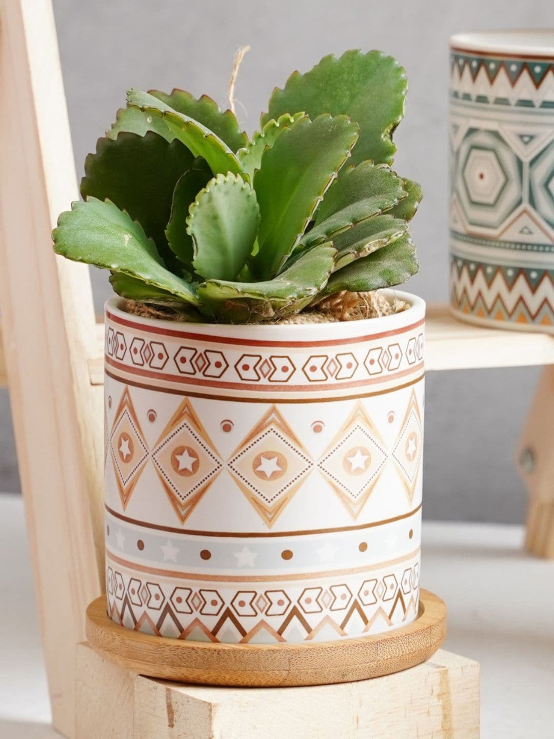 

Nestasia Printed Ceramic Planters, White