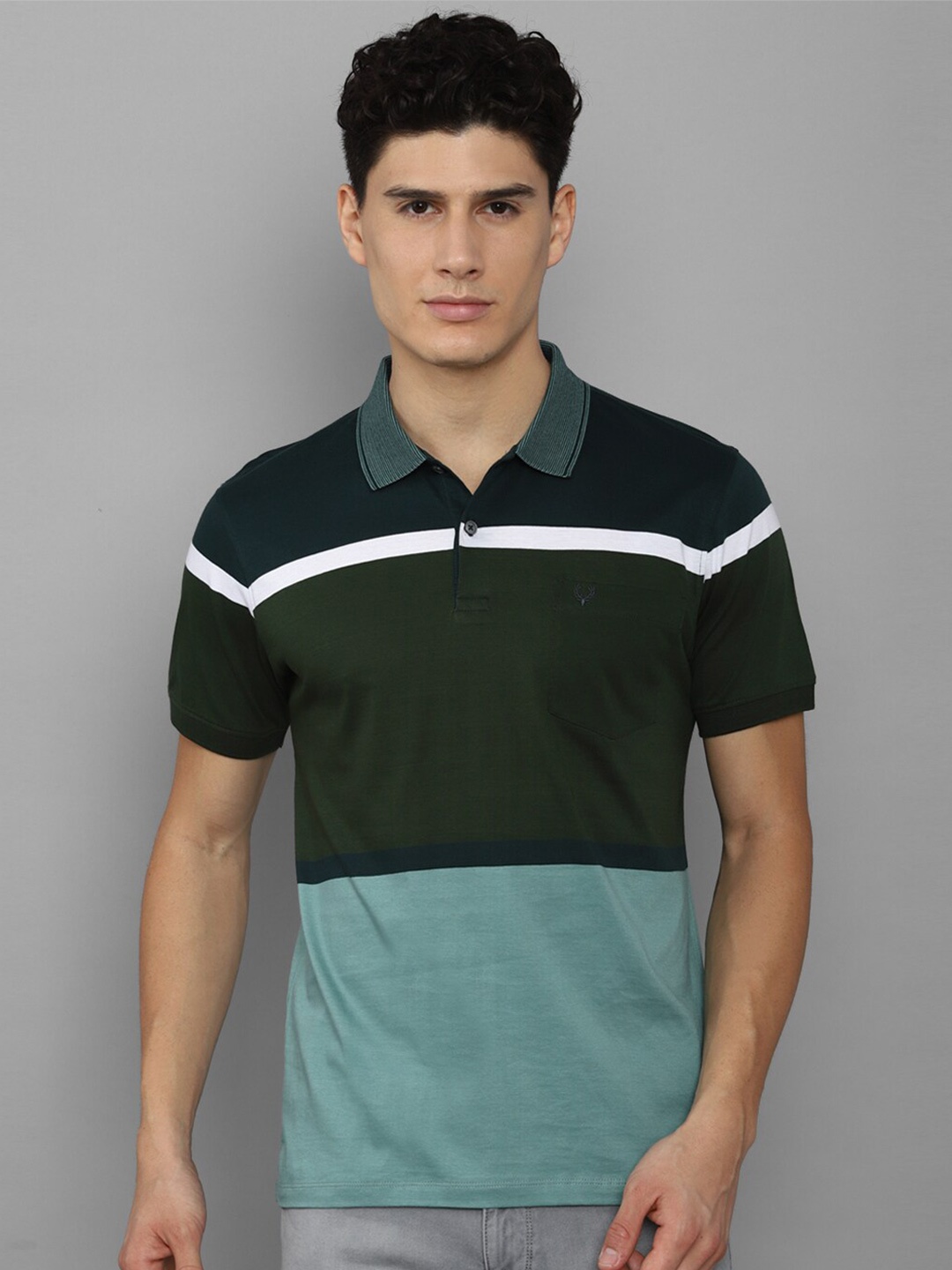 

Allen Solly Men Colourblocked Polo Collar Cotton T-shirt, Green