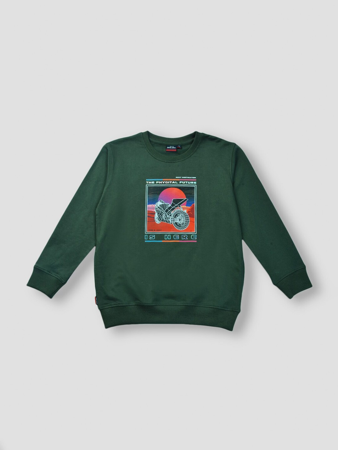 

Gini and Jony Boys Printed Sweatshirt, Green