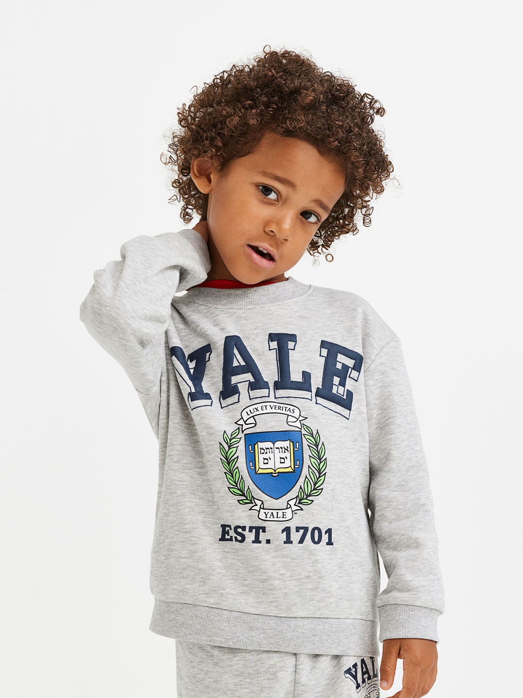 

H&M Boys Grey & Blue Printed Sweatshirt Set