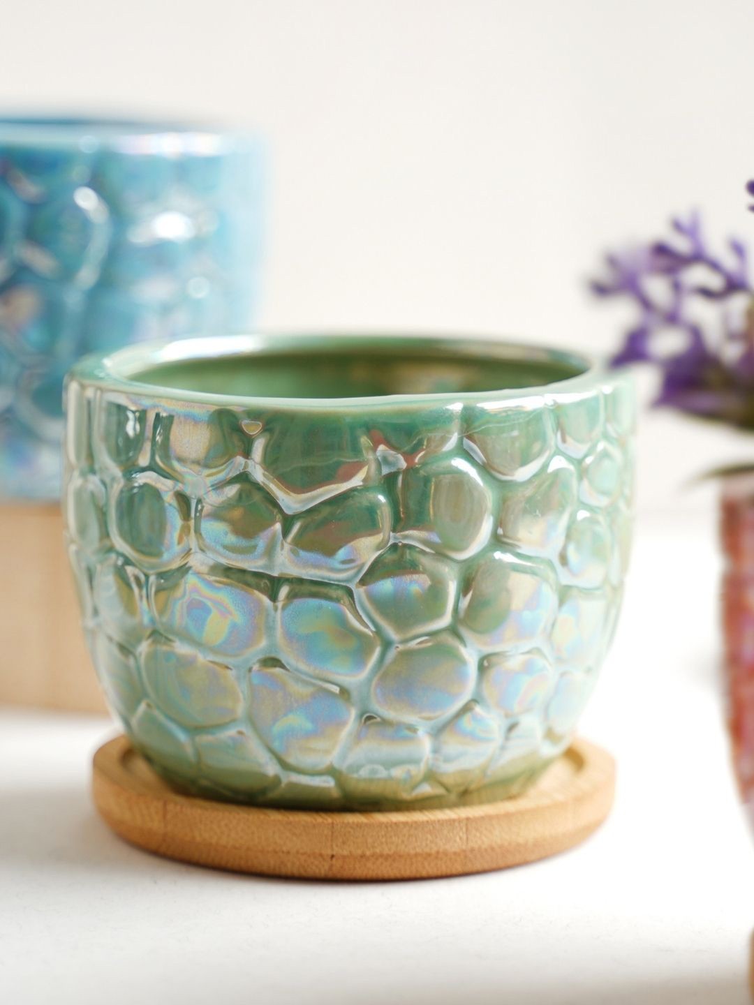 

Nestasia Green Ceramic Succulent Pot