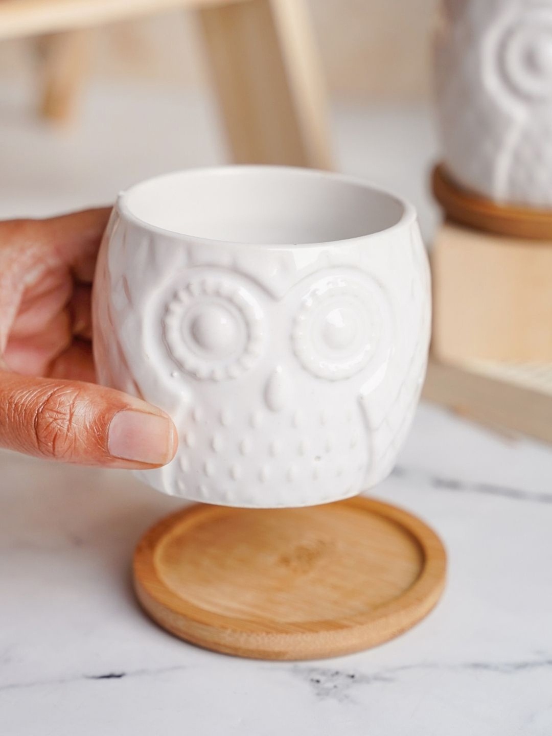 

Nestasia White Designed Planters With Coasters