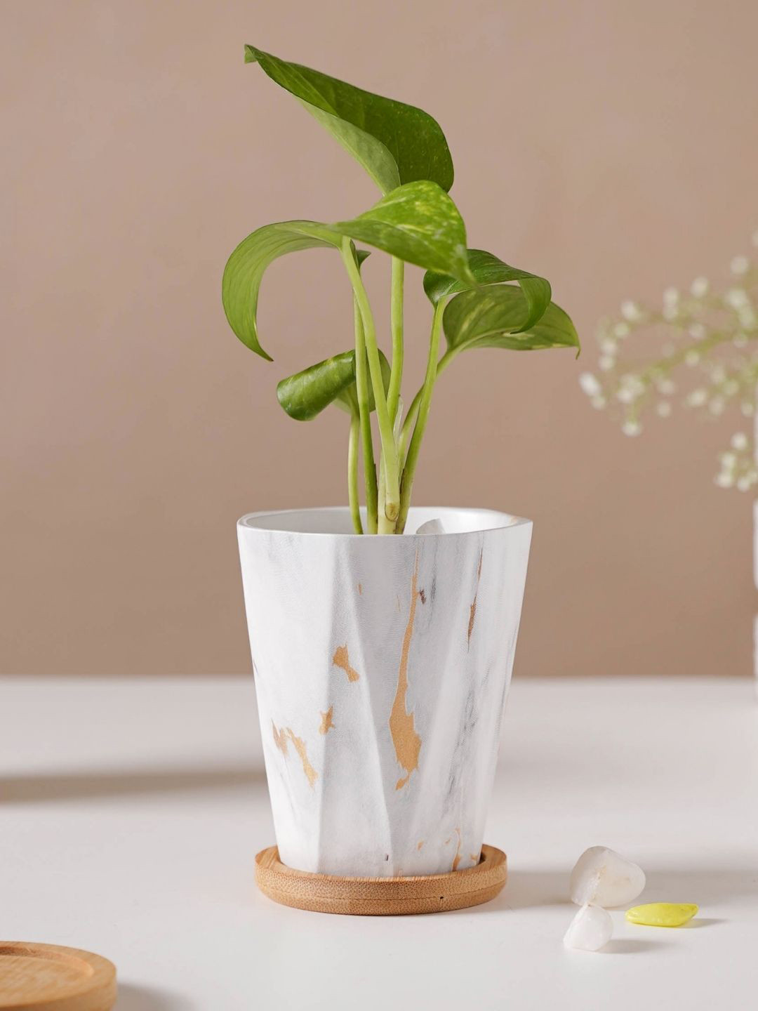 

Nestasia White & Gold Solid Planter