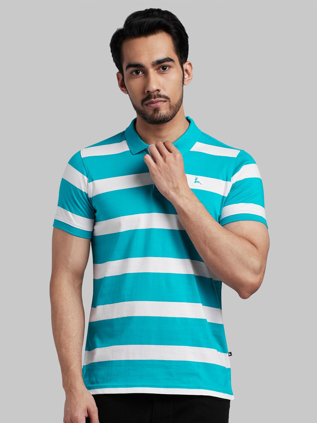 

Parx Men Green Striped Polo Collar T-shirt