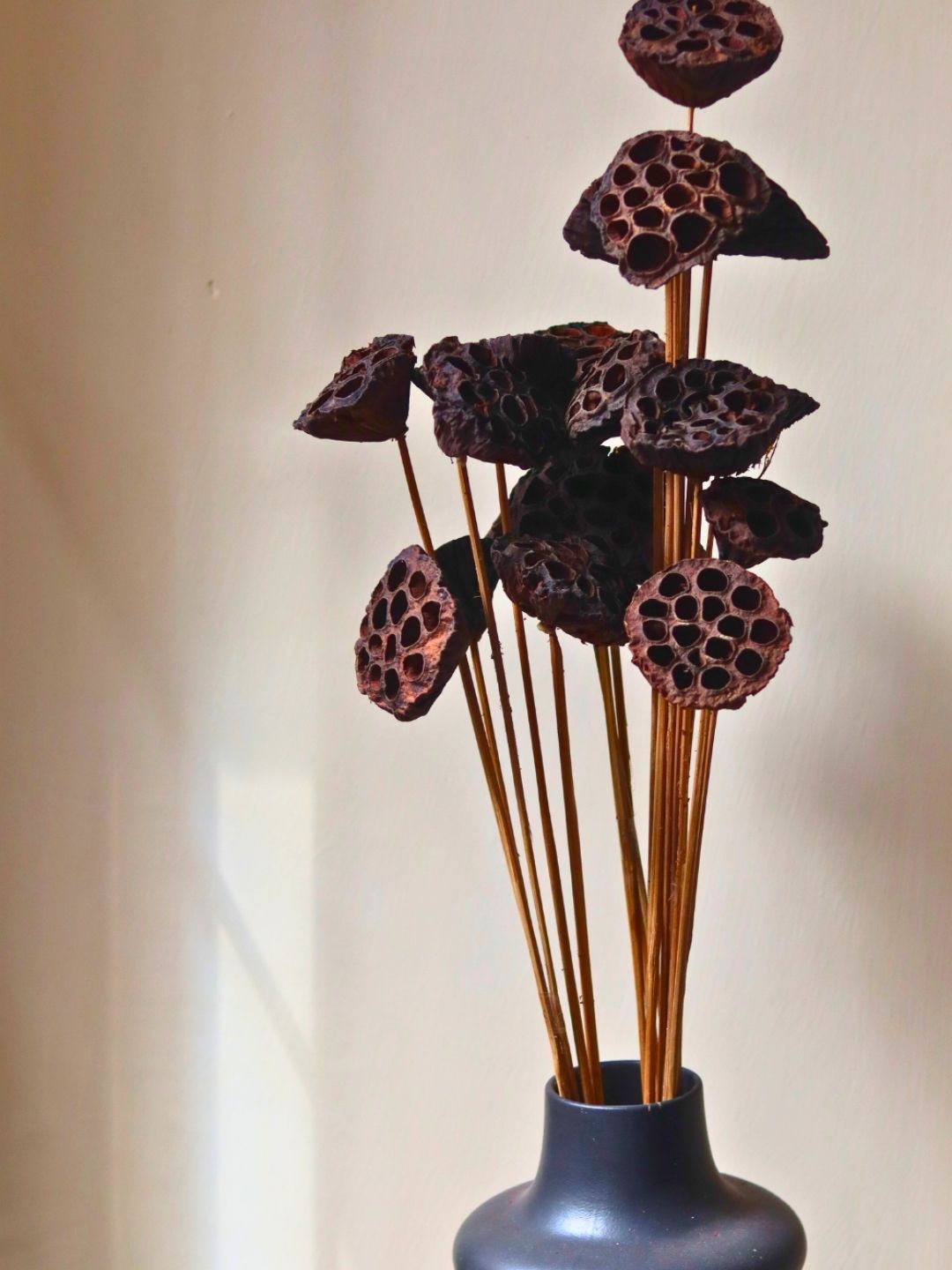 

WEAVING HOMES Dried Lotus Pods - Artificial Flower Bunch, Brown