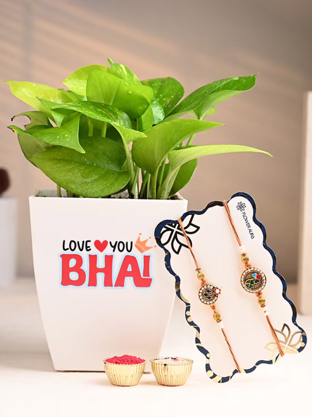

Floweraura Set Of 2 Rakhis With Lucky Money Plant In Love You Bhai Pot, White