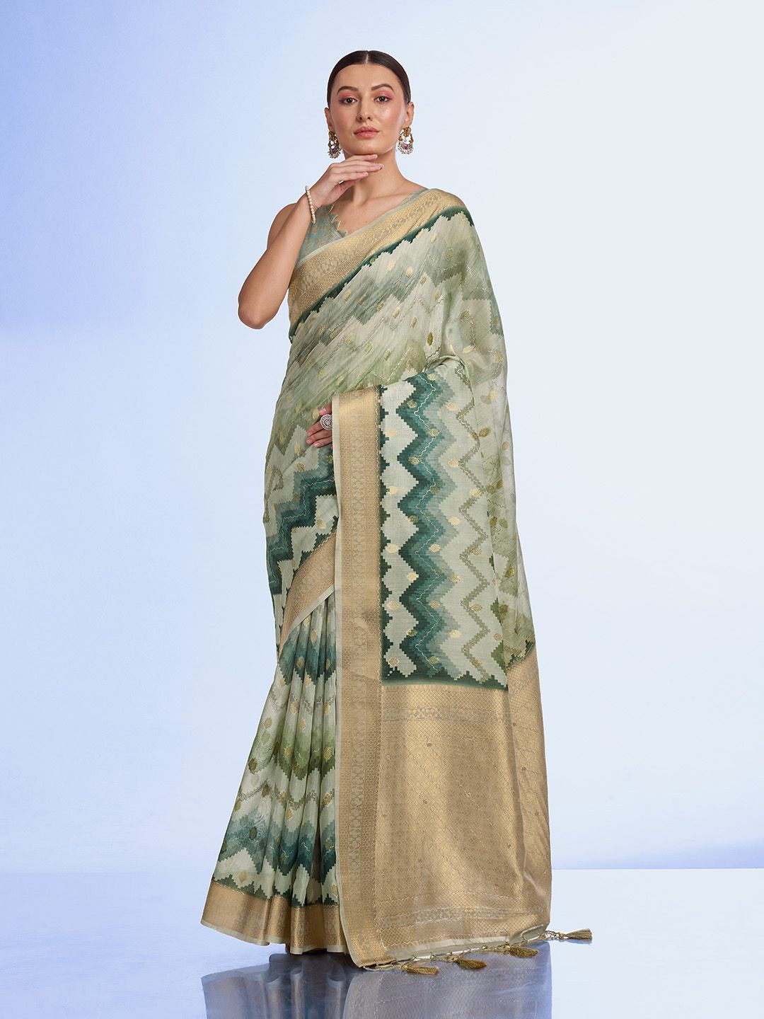 

Ishin Woven Design Zari Saree, Green