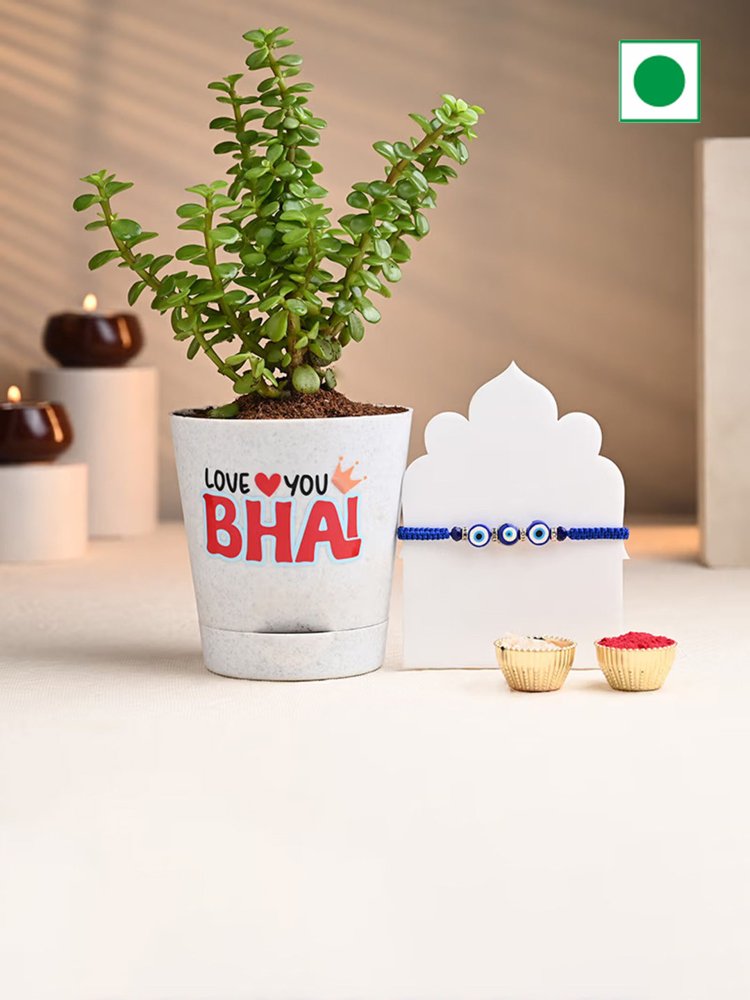 

Floweraura Rakhis With Lucky Jade Plant In Love You Bhai Pot, White