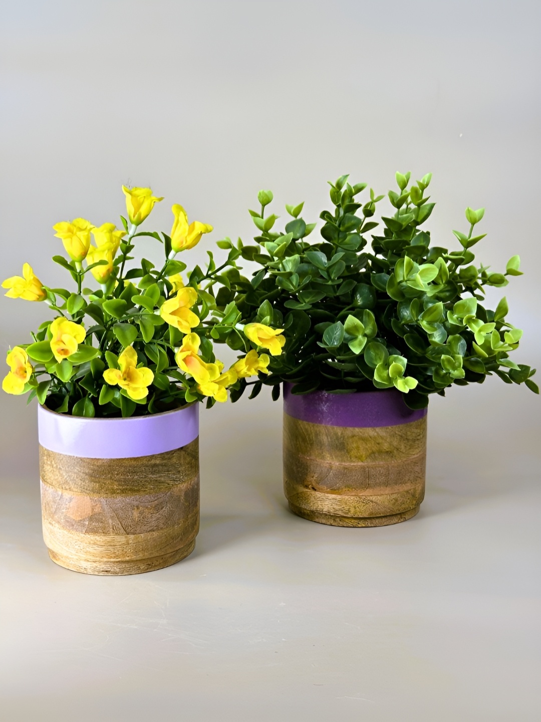 

NURTURE INDIA Brown & Purple 2 Pieces Wooden Planters