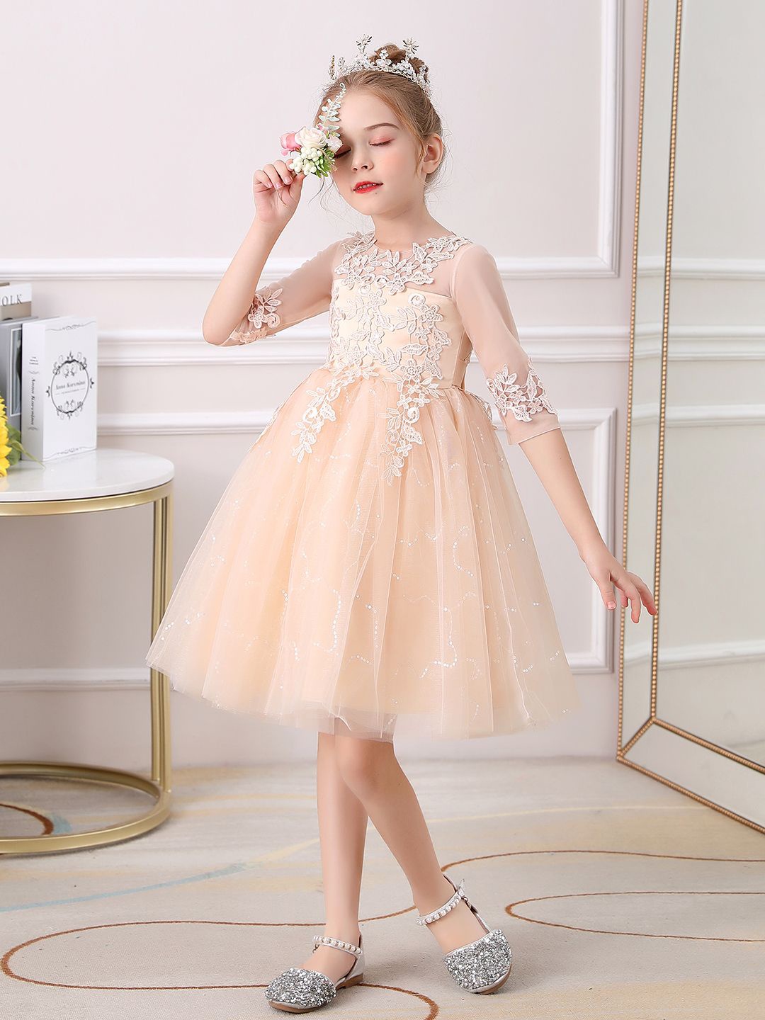 

JC SPARKLE Round Neck Embroidered Fit and Flare Dress, Champagne
