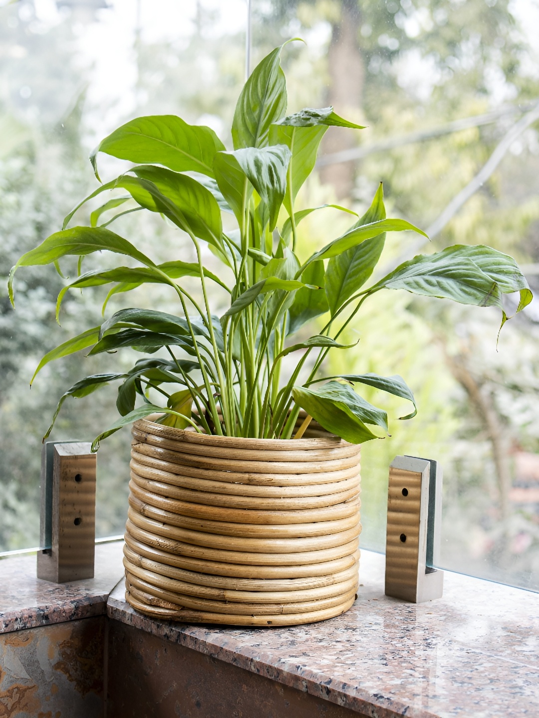 

AJAARA Beige Textured Cane Planter Stand