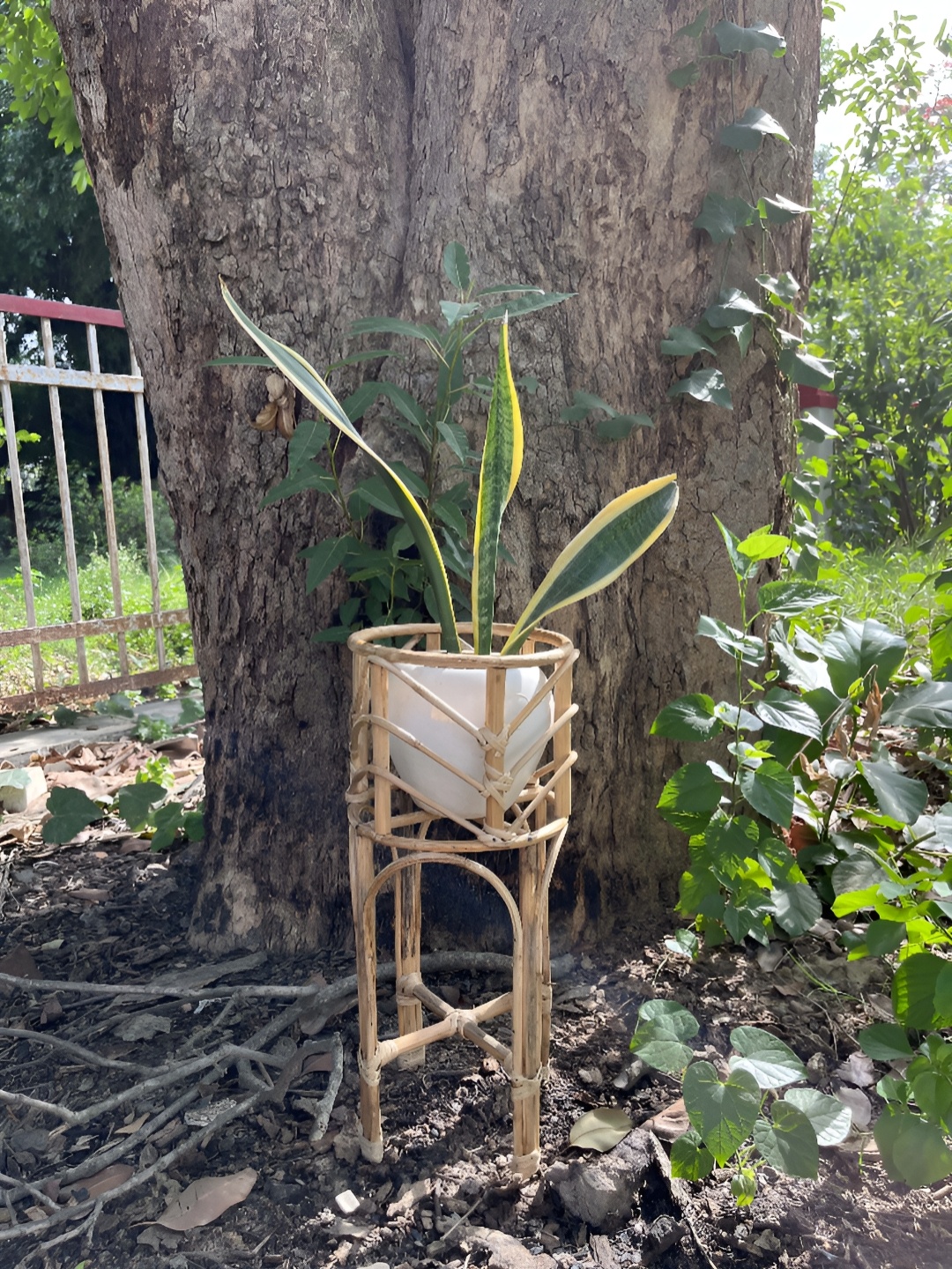 

AJAARA Beige Cane Planter Stand