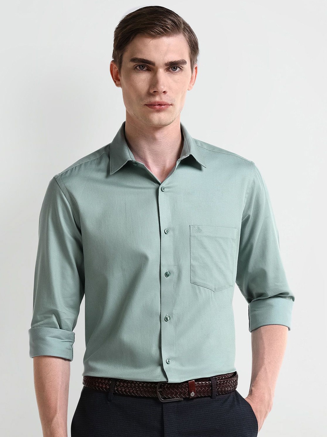 

Arrow Men Modern Spread Collar Solid Cotton Slim Fit Formal Shirt, Green