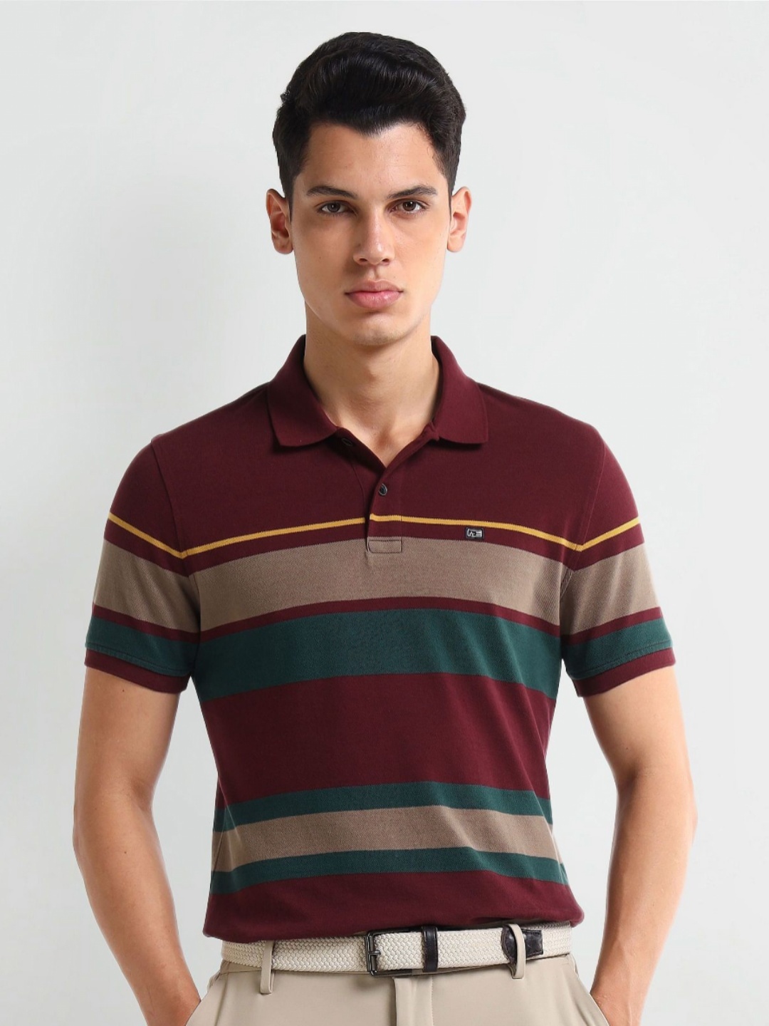 

Arrow Men Striped Knits Polo Collar Cotton T-shirt, Maroon