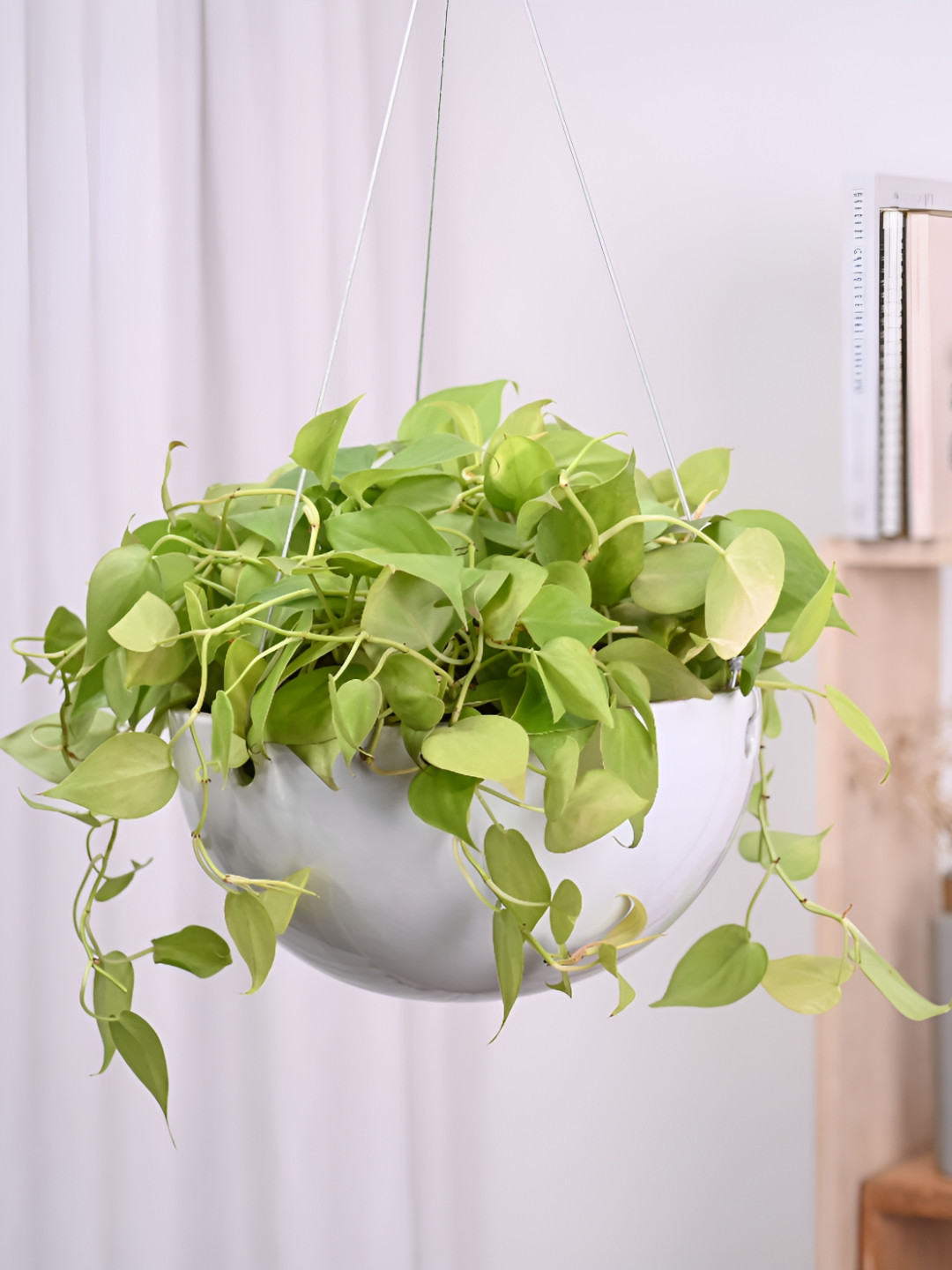 

UGAOO Petrichor Smite White Ceramic Wall Hanging Planter
