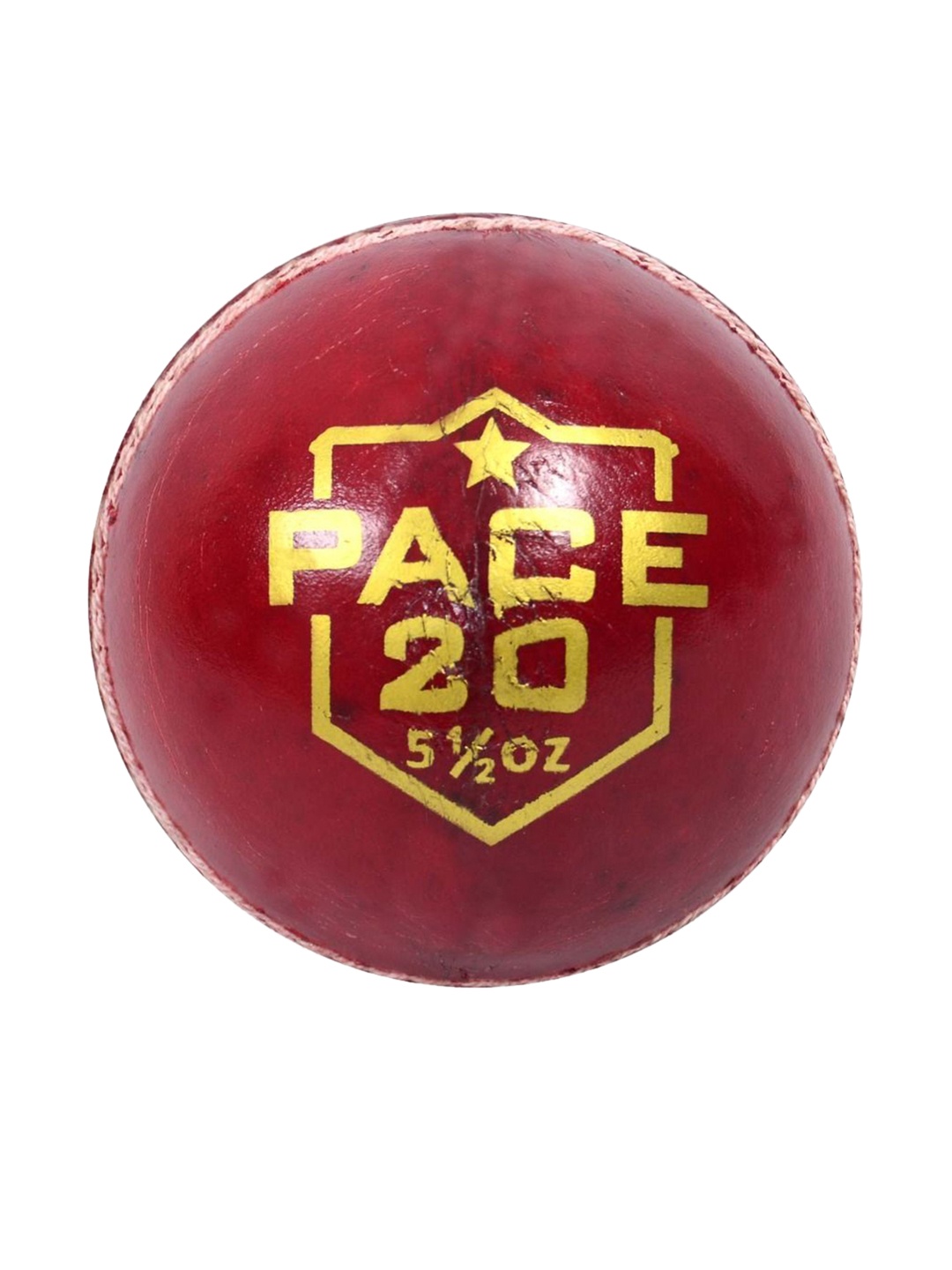 

DSC Pace 20 Cricket Red Leather Ball