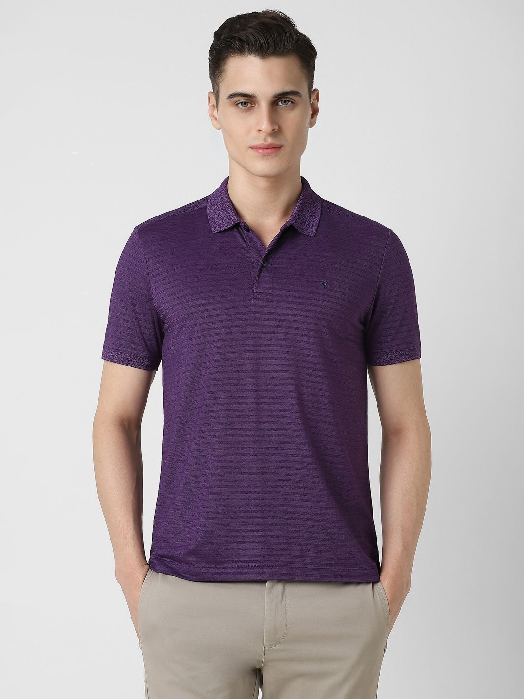 

Van Heusen Sport Men Striped Polo Collar Cotton T-shirt, Purple