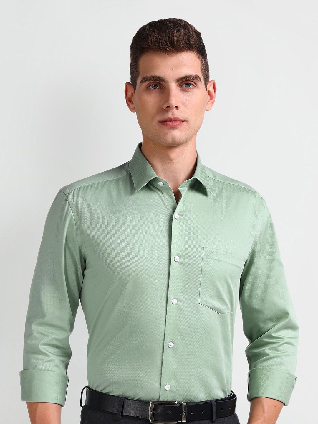 

Arrow Men Smart Spread Collar Solid Cotton Slim Fit Formal Shirt, Green