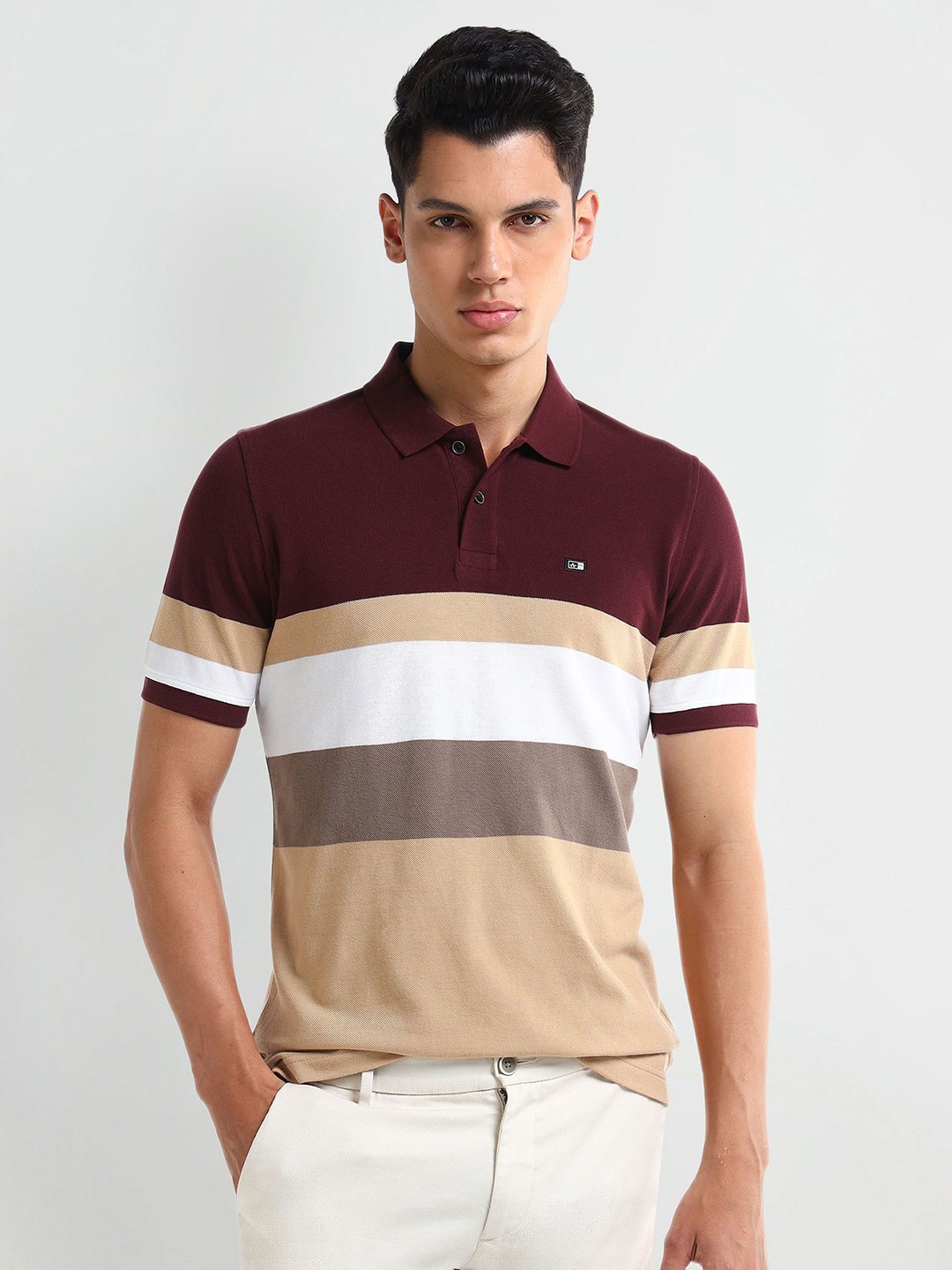

Arrow Men Colourblocked Polo Collar Cotton T-shirt, Maroon