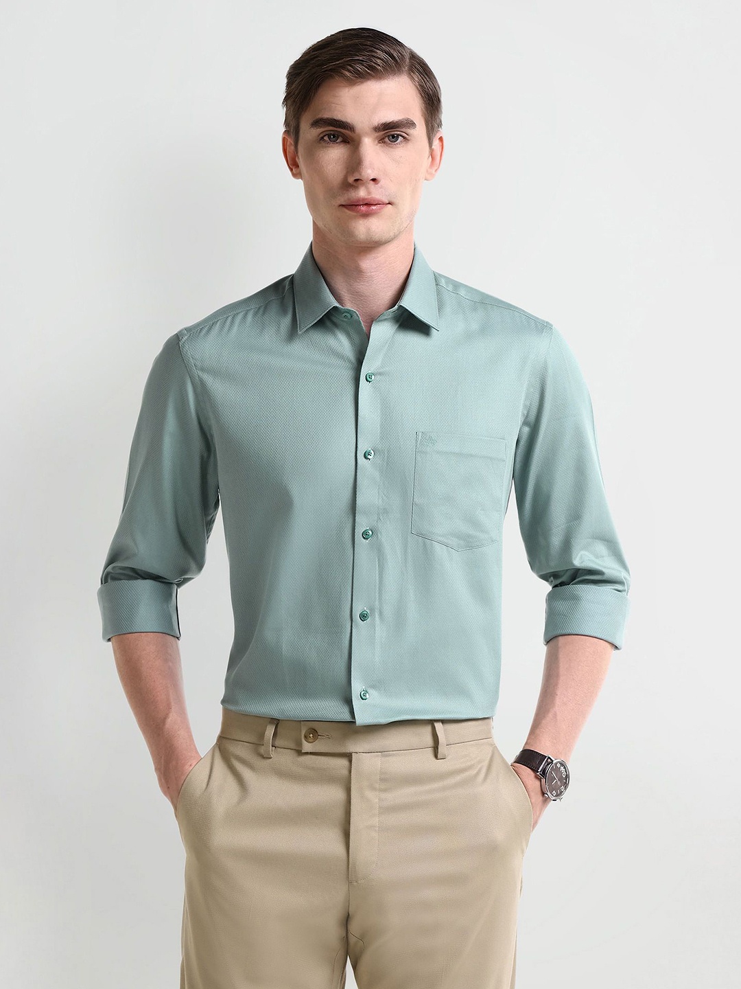 

Arrow Men Classic Spread Collar Solid Cotton Formal Shirt, Green