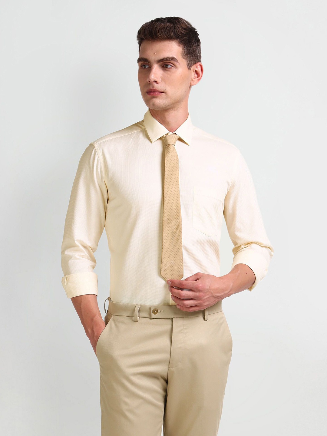 

Arrow Men Smart Spread Collar Solid Cotton Slim Fit Formal Shirt, Yellow