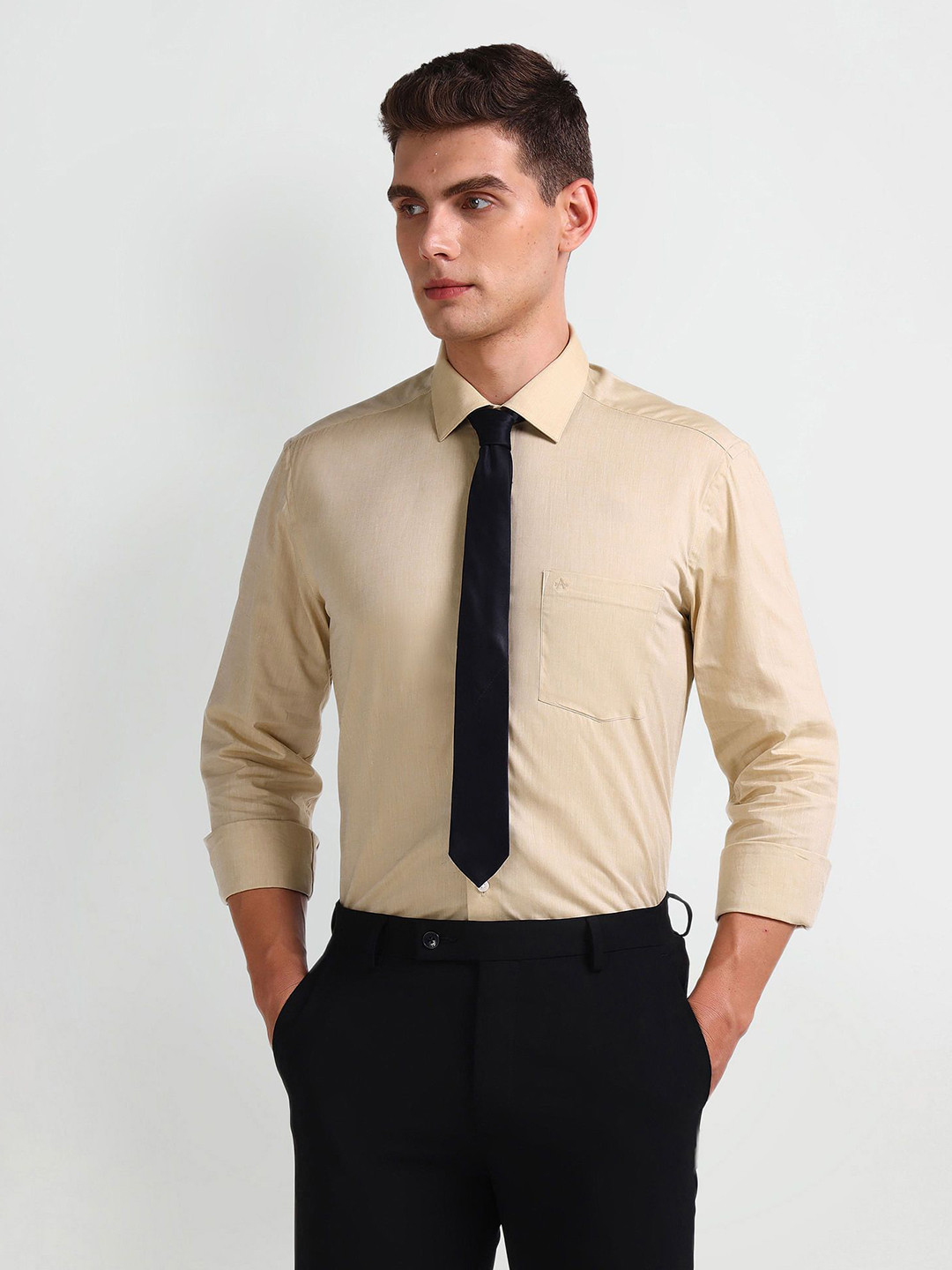 

Arrow Men Smart Spread Collar Solid Cotton Slim Fit Formal Shirt, Beige