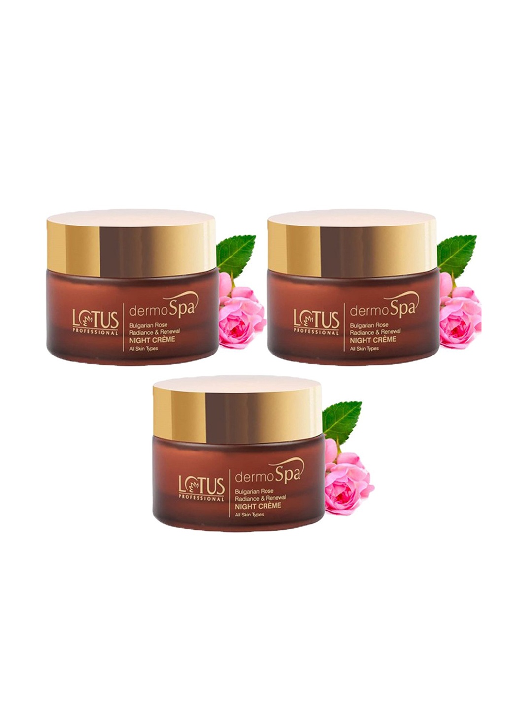 

Lotus Professional Set Of 3 DermoSpa Bulgarian Rose Radiance Renewal Night Cream-50g Each, Coffee brown