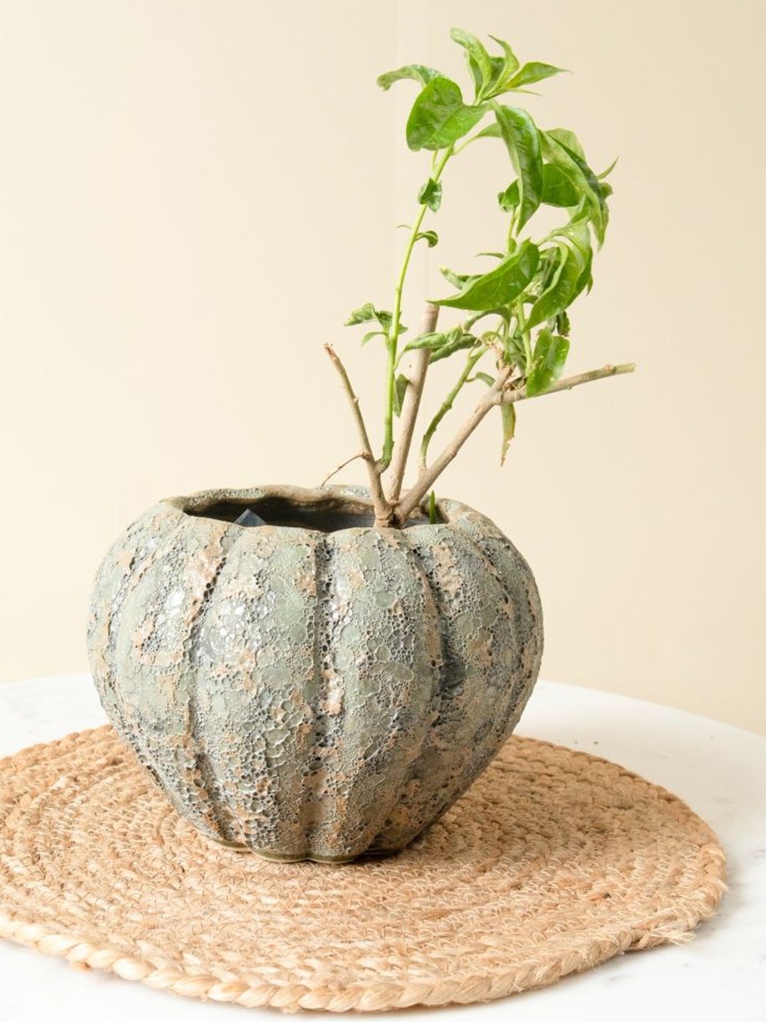 

ArteCasa Grey Textured Ceramic Antique Pumpkin Planter