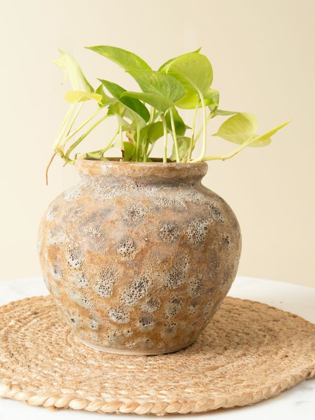 

ArteCasa Brown Heritage Planter