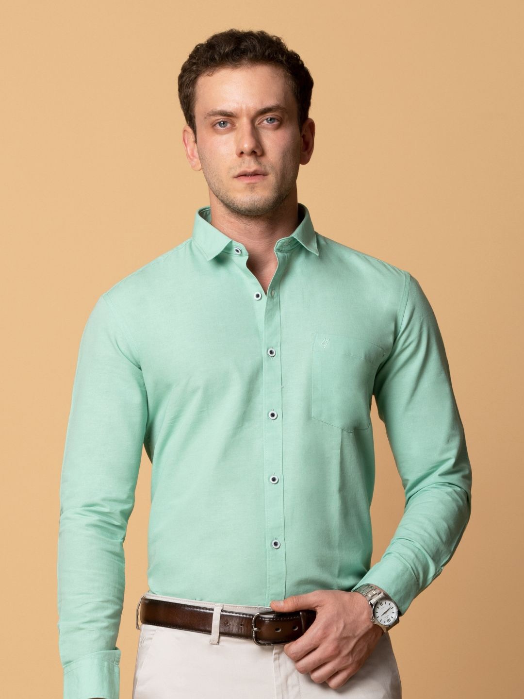 

Berkshire Men Comfort Spread Collar Solid Cotton Slim Fit Formal Shirt, Green