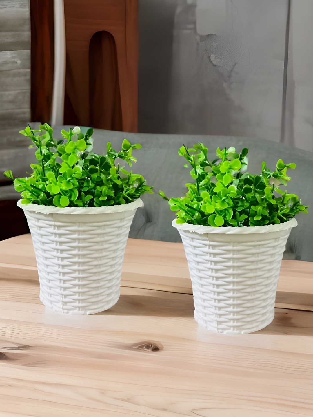 

Akaar White & Green 2 Pieces Jade Artificial Plant With Pot