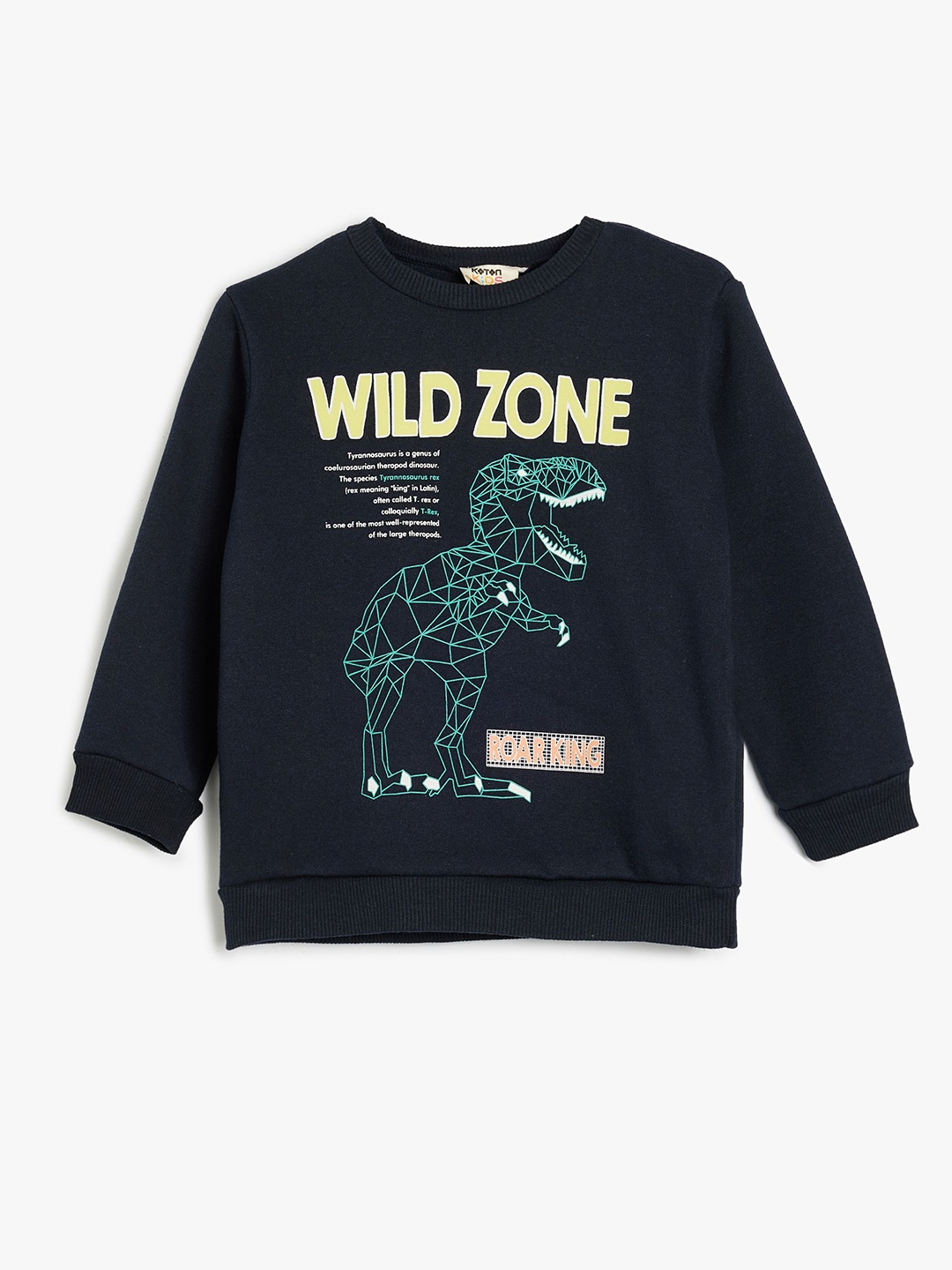 

Koton Boys Graphic Printed Sweatshirt, Navy blue