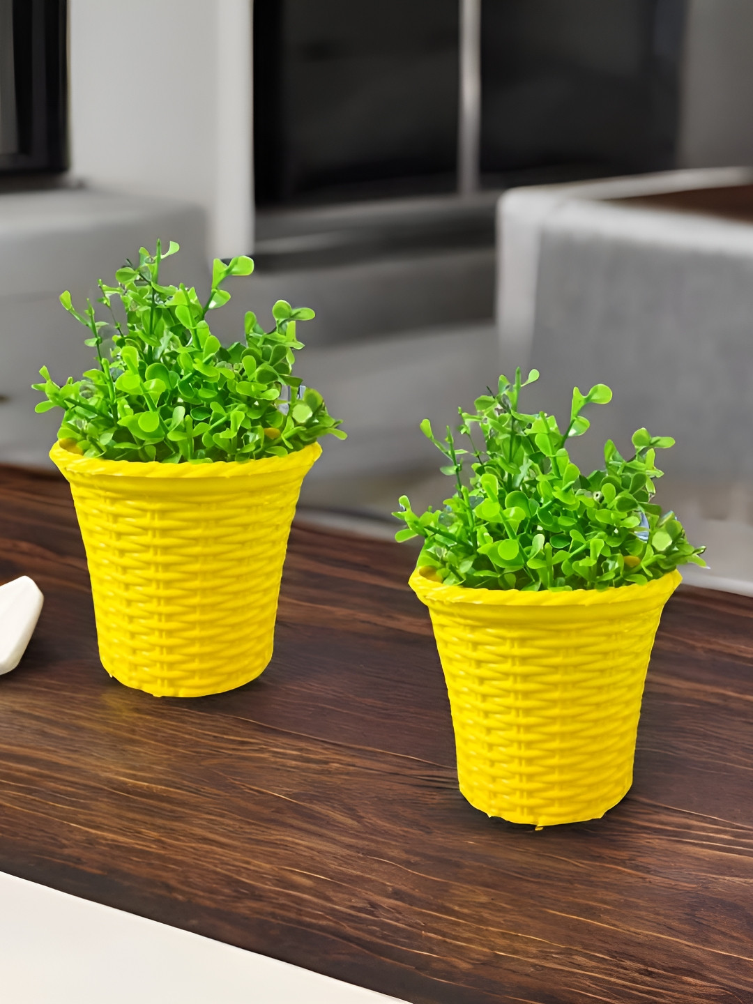 

Akaar Yellow & Green 2 Pieces Jade Artificial Plant With Pot