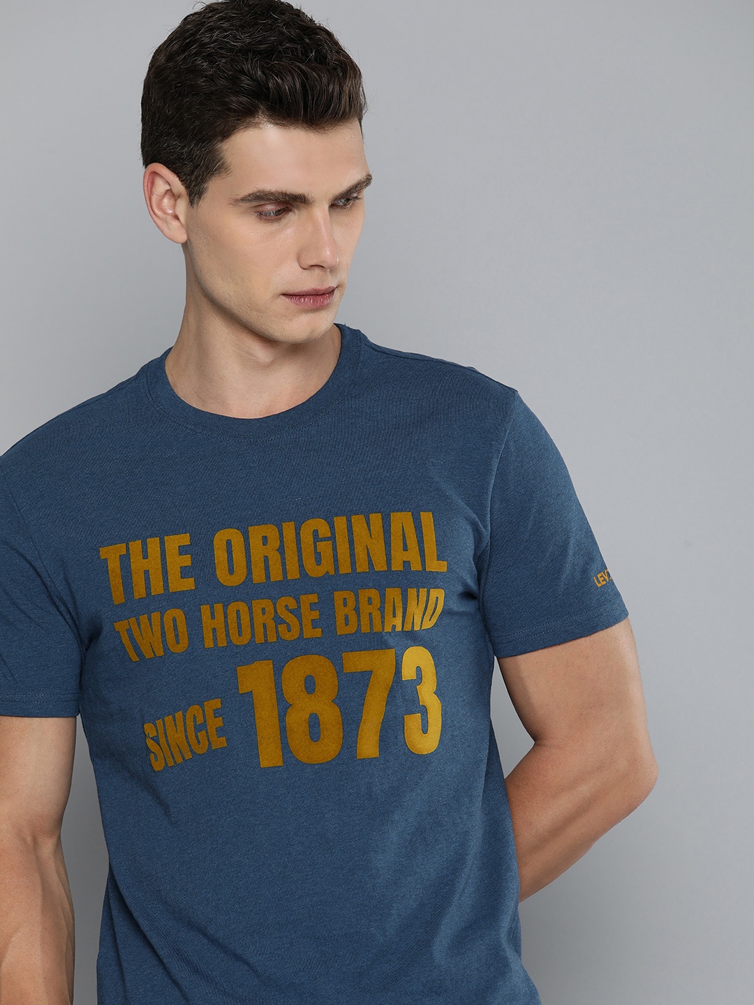 

Levis Typography Pure Cotton Slim Fit T-shirt, Blue