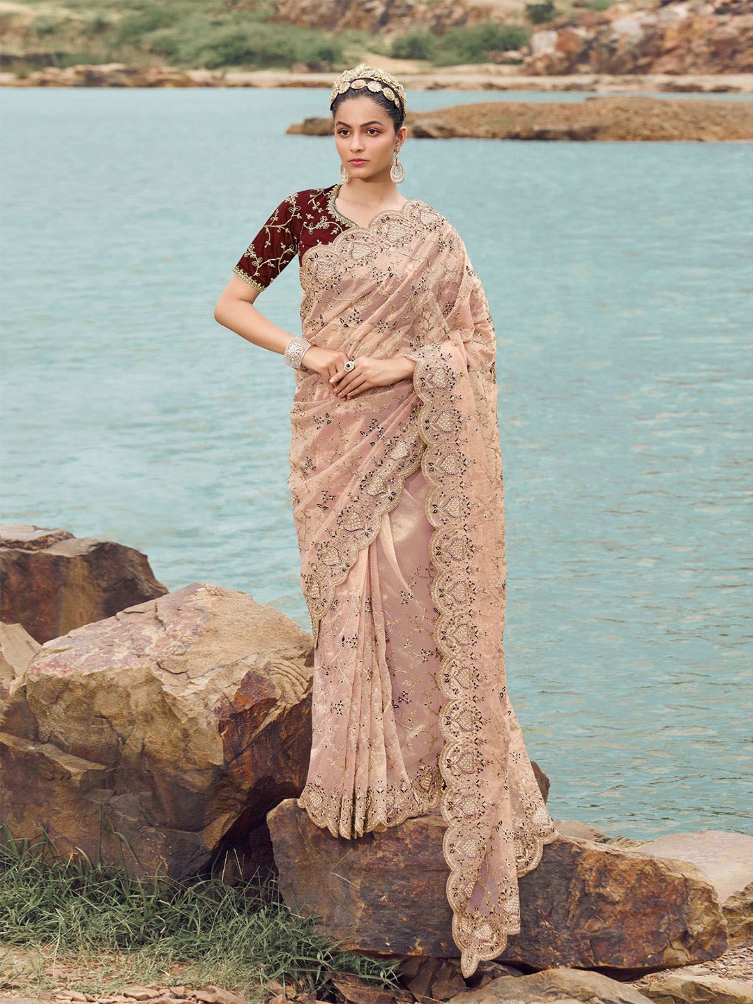 

ODETTE Floral Embroidered Beads and Stones Net Saree, Peach