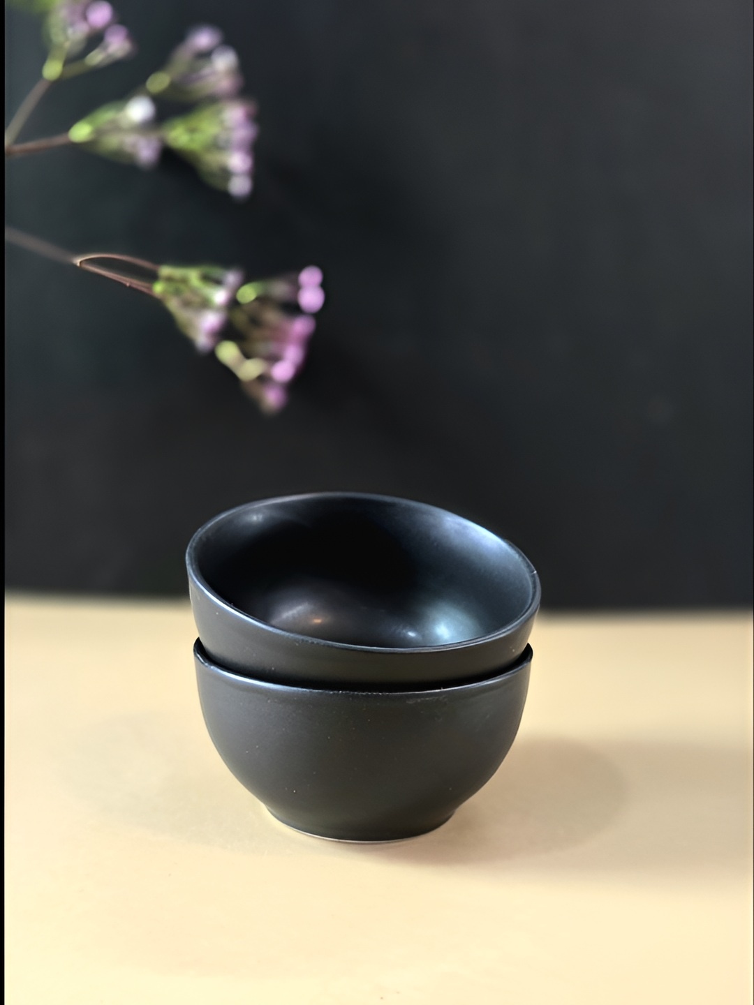 

Folkstorys Farmhouse Black 2 Pieces Ceramic Glossy Soup Bowls