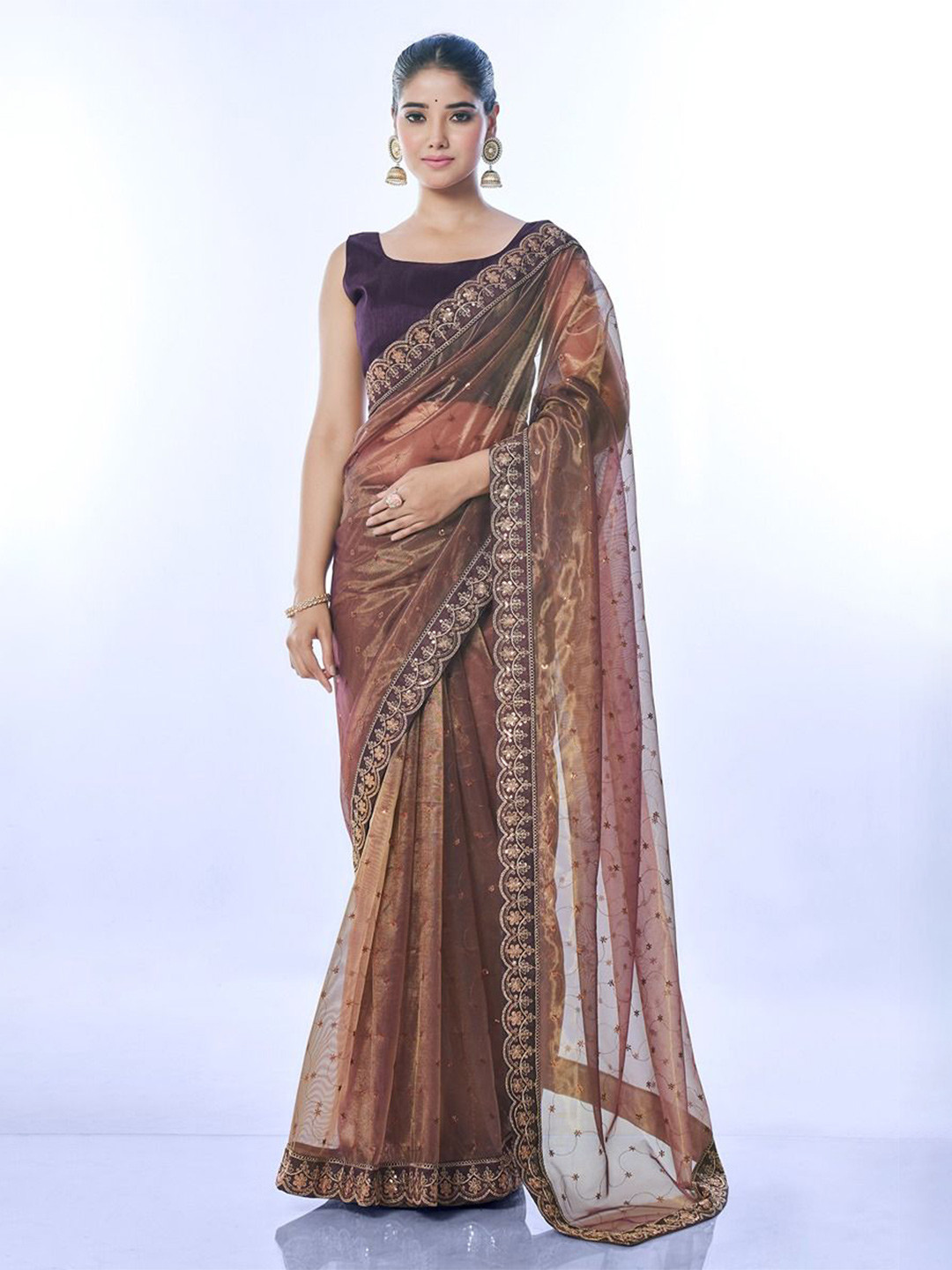 

Panzora Embroidered Embellished Sequinned Saree, Brown