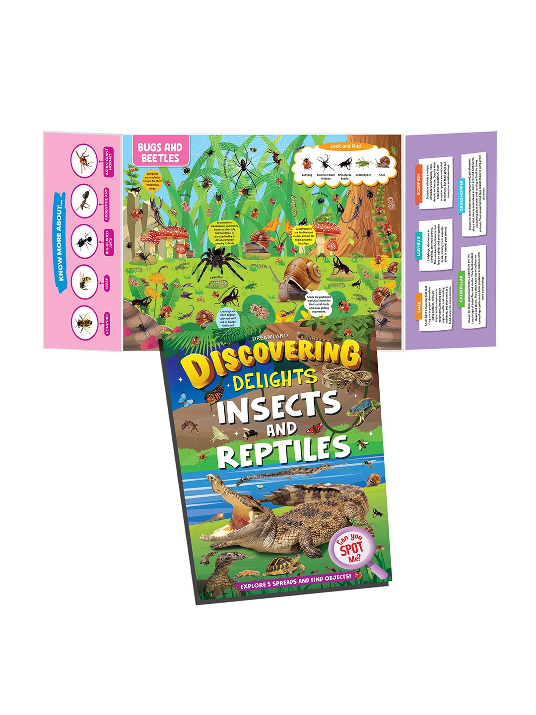 

Dreamland Insects and Reptiles Discovering Delights Flap Book for Kids, Green