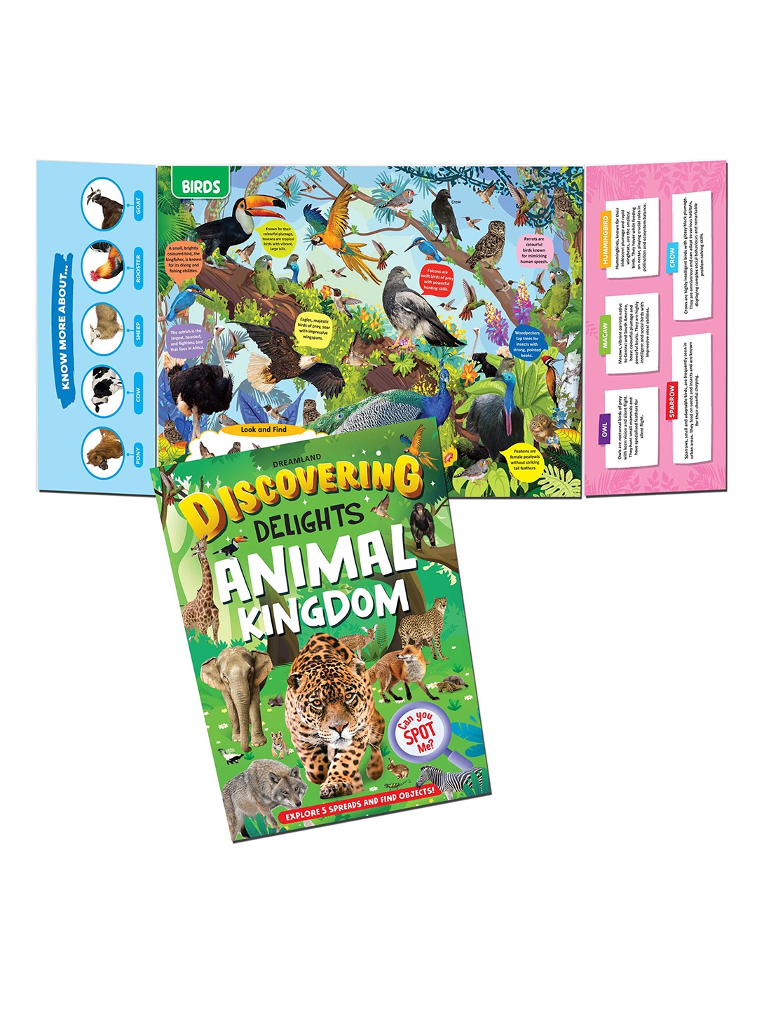 

Dreamland Animal Kingdom Discovering Delights Flap Book for Kids, Green