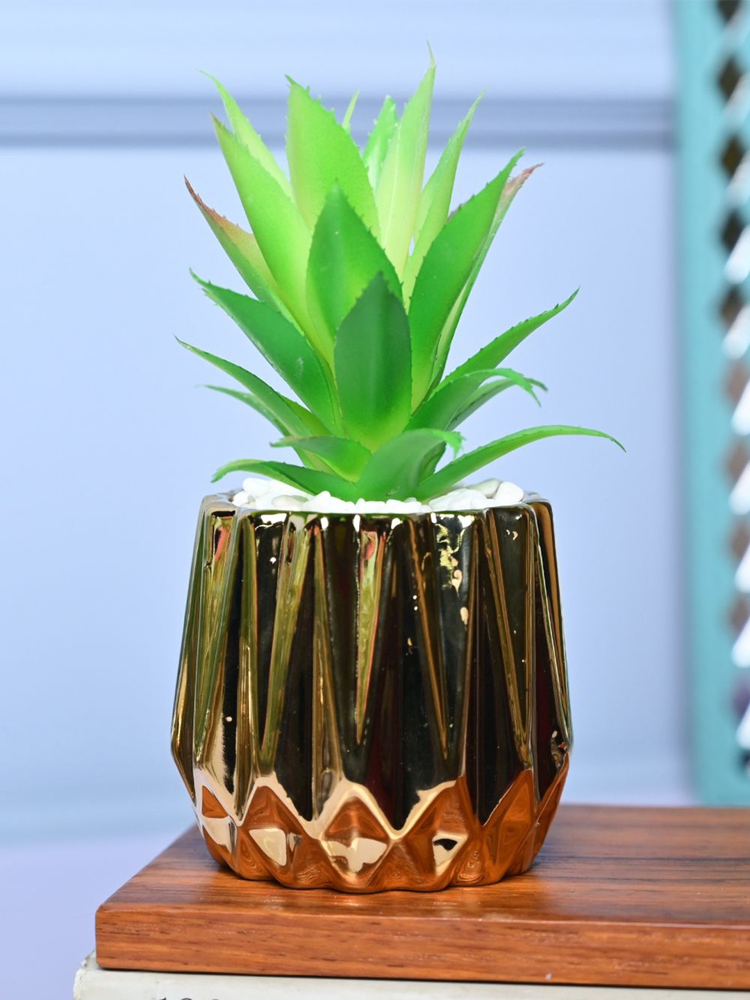 

MARKET99 Gold-Toned & Green Pine Artificial Plant With Pot