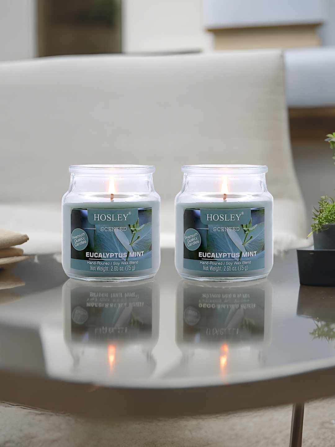 

HOSLEY Green 2 Pieces Eucalyptus Mint Scented Jar Candle