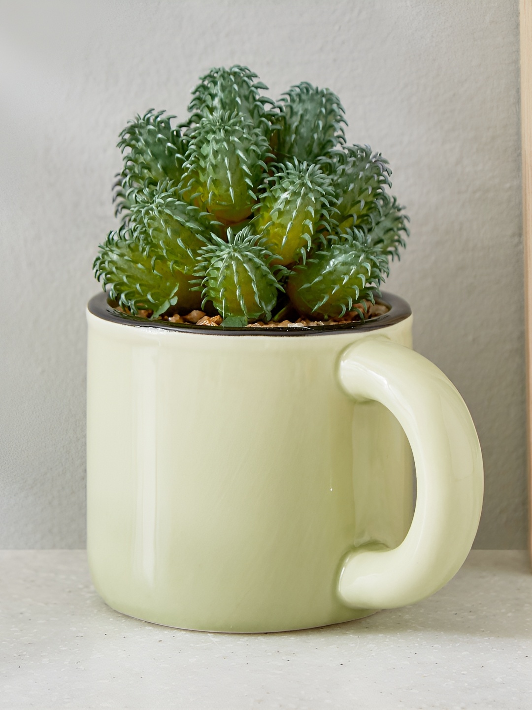 

Home Centre Gloria Green Palm Artificial Succulent With Ceramic Pot