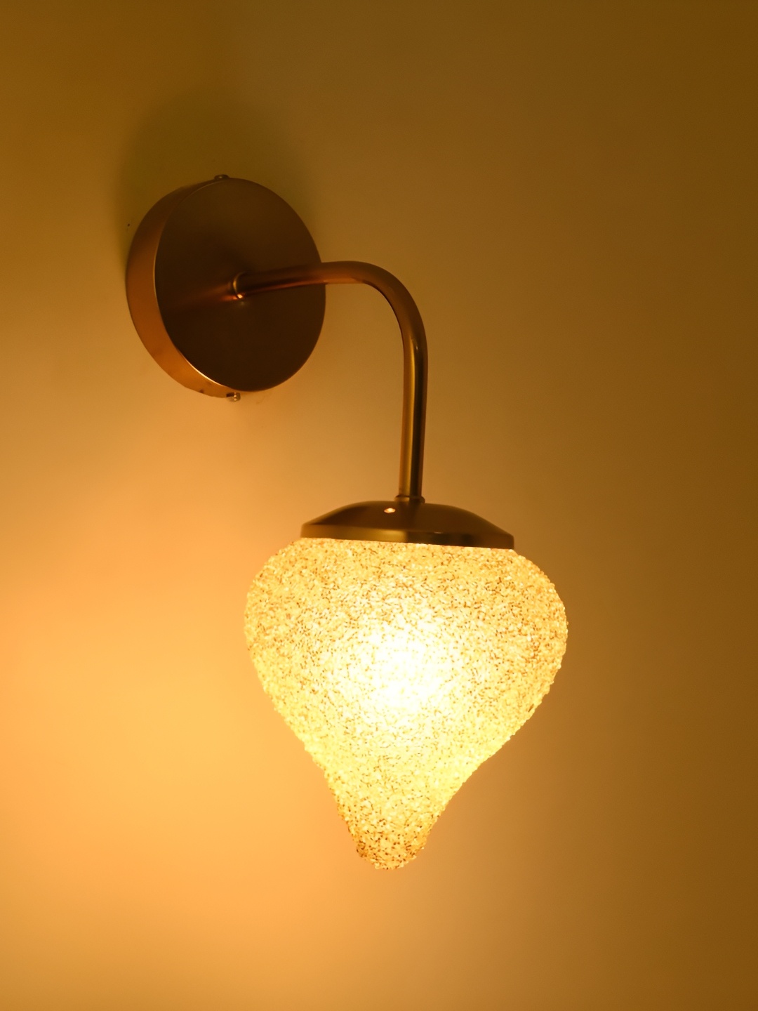 

Afast Gold-Toned Glass Traditional Abstract Shaped Wall Lamp
