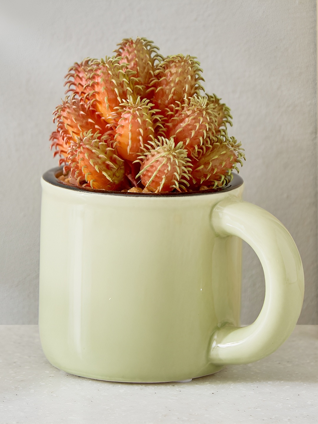 

Home Centre Gloria Green & Rust Palm Artificial Succulent Plant With Ceramic Pot